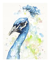 The Bold & The Beautiful Fine Art Print