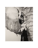Watercolor Elephant Fine Art Print
