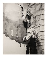 Watercolor Elephant Fine Art Print