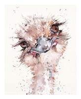 Who Me? Fine Art Print
