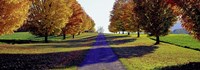 Autumn Road, Storm King Mountain, New York Fine Art Print