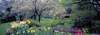 Country garden, Old Westbury Gardens, Long Island Fine Art Print