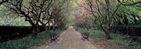 Through Conservatory Garden, Central Park, NYC Fine Art Print