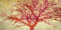 Coral Tree Fine Art Print