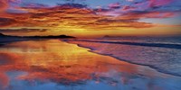 Sunset, North Island, New Zealand Fine Art Print