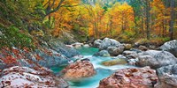 Mountain Brook and Rocks, Carinthia, Austria Fine Art Print