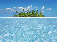 Tropical Lagoon with Palm Island, Maldives Fine Art Print