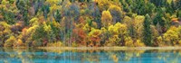 Lake And Forest In Autumn, China Fine Art Print