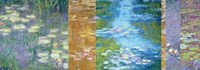 Waterlilies II Framed Print