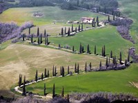 Road near Montepulciano, Tuscany Fine Art Print