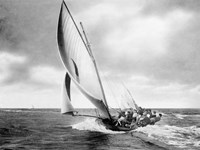 Under sail, Sydney Harbour Fine Art Print