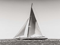 Classic  Racing Sailboat Fine Art Print