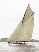 Victorian Sloop on Sydney Harbour Fine Art Print