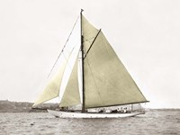 Yacht on Sydney Harbour Fine Art Print