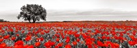 Tree in a Poppy Field 2 Framed Print