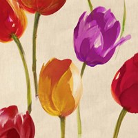 Tulip Funk (detail) Fine Art Print