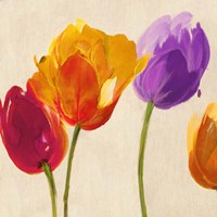 Tulips & Colors (detail) Fine Art Print