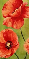 Poppies in the Wind I Fine Art Print