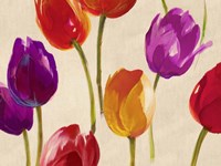 Tulip Funk Fine Art Print