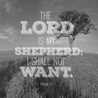 Psalm 23 The Lord is My Shepherd - Field Fine Art Print