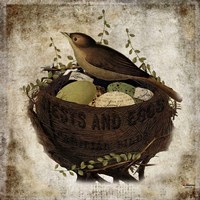 Nest & Eggs Fine Art Print