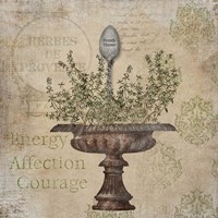 French Thyme Fine Art Print