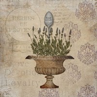 French Lavender Fine Art Print
