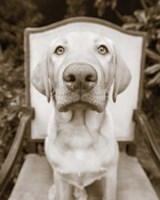 Sitting Fine Art Print