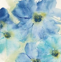 Seashell Cosmos I Fine Art Print