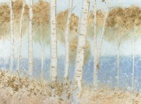Summer Birches Fine Art Print