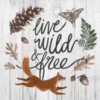 Live Wild and Free Framed Print