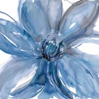 Blue Beauty II Fine Art Print