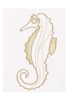 Golden Seahorse Framed Print