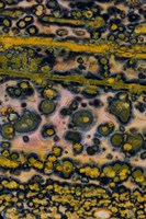 Ocean Jasper from Madagascar 4 Fine Art Print