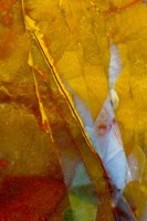 Piute Jasper 2 Fine Art Print