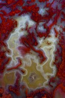 Red Moss Agate Slab Fine Art Print