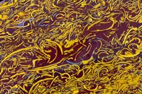 Scripted Jasper Fine Art Print