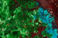 Shattuckite 1 Fine Art Print