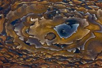 Swirl Pattern on Deschutes Jasper Slab Fine Art Print