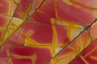 Cherry Creek Jasper, China Fine Art Print