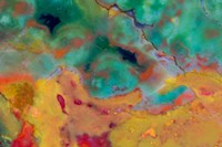 Christmas Jasper 1 Fine Art Print