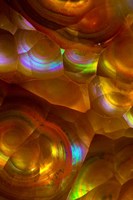 Fire Opal from Australia 2 Fine Art Print