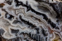 Jasper Agate Mixed slab Fine Art Print