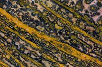 Ocean Jasper from Madagascar 1 Fine Art Print