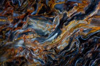 Pietersite from Namibia 5 Fine Art Print