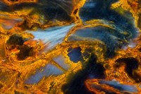 Pietersite from Namibia 7 Fine Art Print