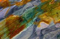 Piute Jasper 1 Fine Art Print