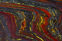 Tiger Iron in Red, Yellow, Blue Fine Art Print