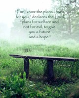 Jeremiah 29:11 For I know the Plans I have for You (Wooden Bench) Fine Art Print