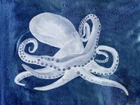 Cephalopod I Fine Art Print